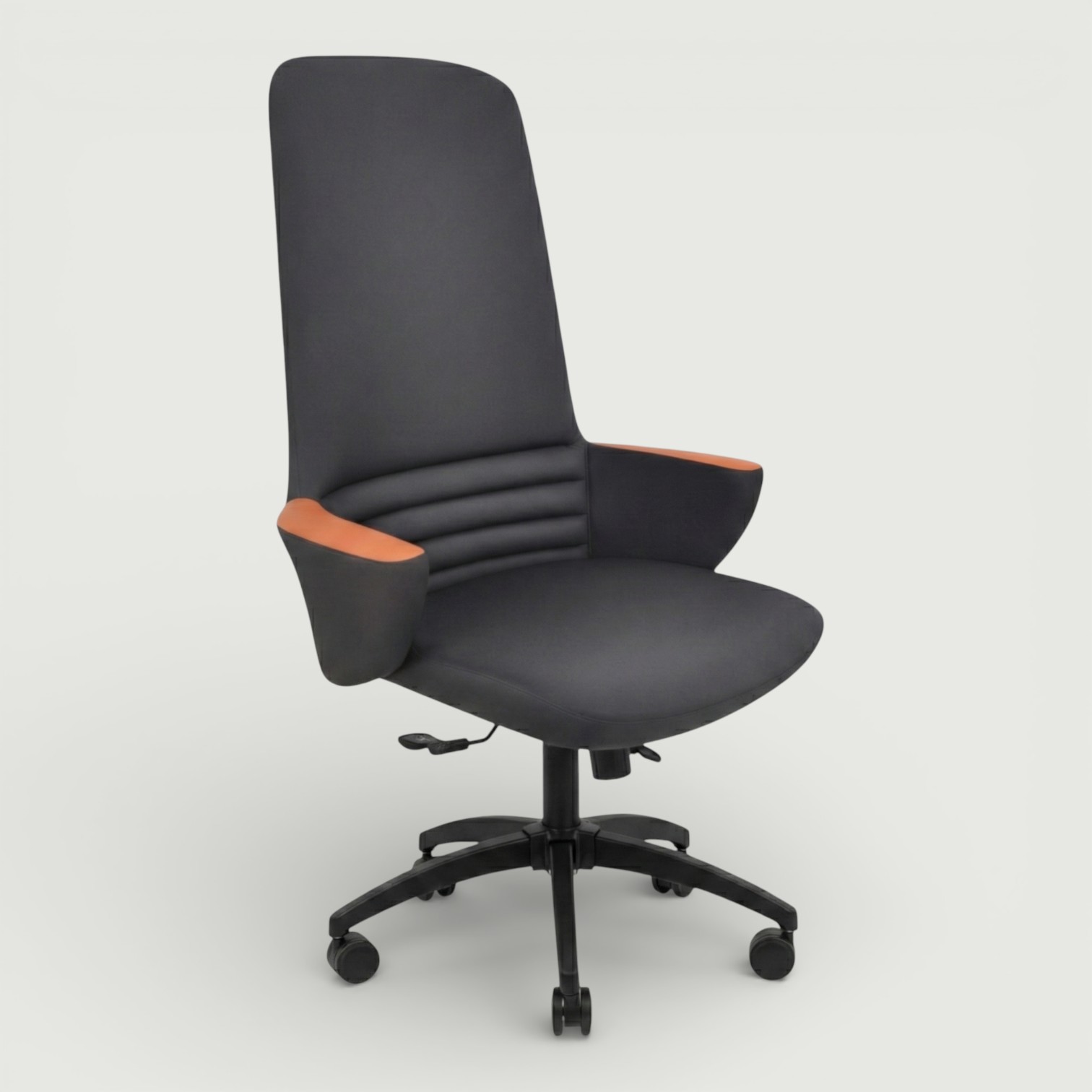 BICOLOR Yönetici Koltuğu